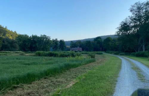 Upper Delaware River House - Foto 38