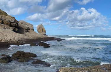 Cabaña de ensueño en el bosque y junto al mar - Foto 18