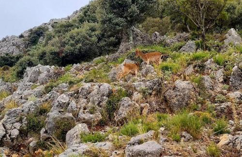 Casa Rural Grazalema - Photo 10