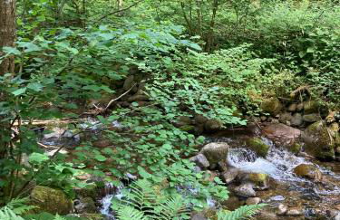 Gîte du Hibou - jolie dépendance sur verger - Foto 31
