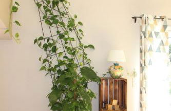 Escapade en Provence, Gîte à Lagnes, Luberon, Vaucluse - Foto 29