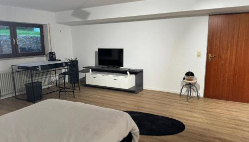 Ferienwohnung in der Nähe des Europa-Park Rust mit Terrasse und Grill - Foto 3