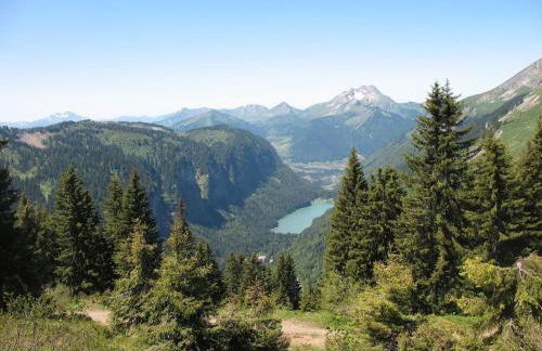 Chalet le Petit Ramoneur - Foto 44