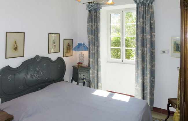 Primavera - Photo 17