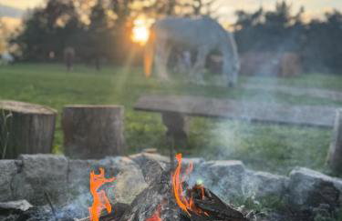 Domki Na Ranczo - Foto 41