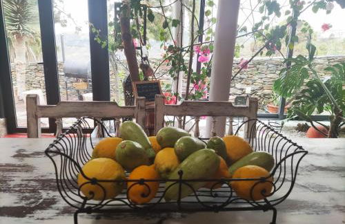 Casa Finca Doñana - Foto 20