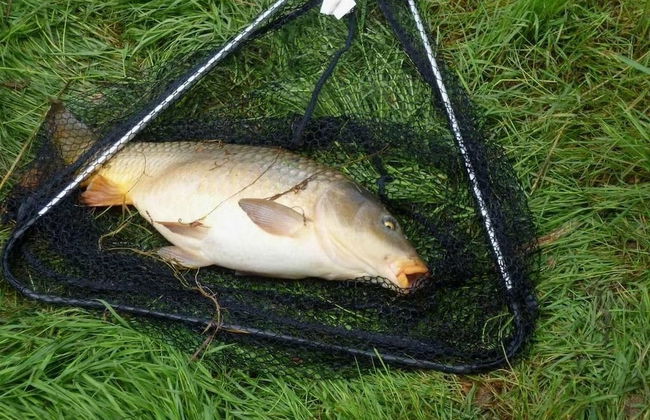 Cabane dans les Arbres - Tree House - Foto 15