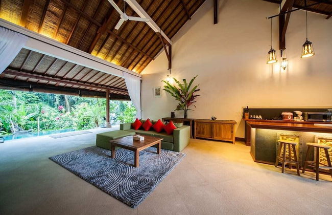 Infinity Jungle View Aashaya Villa Ubud - Photo 16