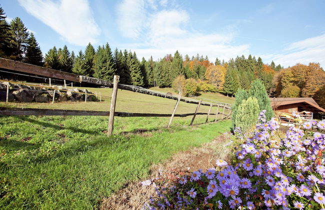 Malerische Erdgeschosswohnung - Foto 22
