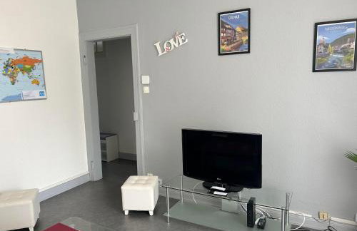 Appartement T3 très calme - Le Bartholdi - Centre de Colmar - Photo 6