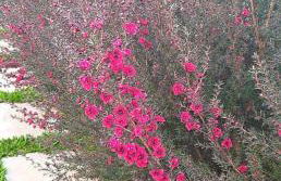 the old school - Foto 30