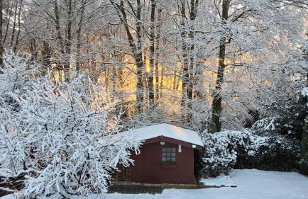 Am Bergischen Panoramasteig - Foto 20