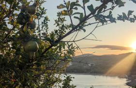 Yanna & Peri Aegean Breeze Retreat - Foto 37