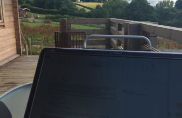 Long Mountain Centre Log Cabins - Foto 35