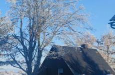 Ferienhaus VILLA ZAUBERBLICK am Rennsteig Frankenwald FREISTEHEND naturnah HUNDEFREUNDLICH eingezäunt - Foto 79