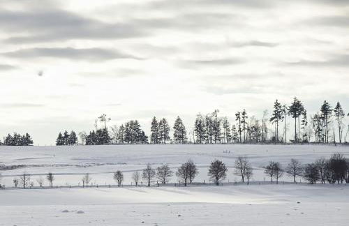 Hasselhäuser Hasselhaus 4 - Foto 16