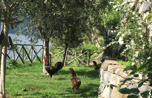 Castagna Holiday Home - Foto 24