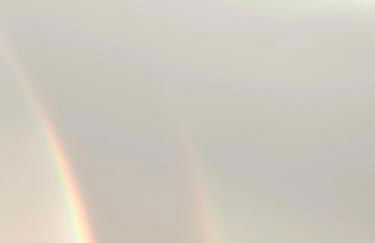 Podere Cartaio Bio Farm, private pool, AirC - Foto 14