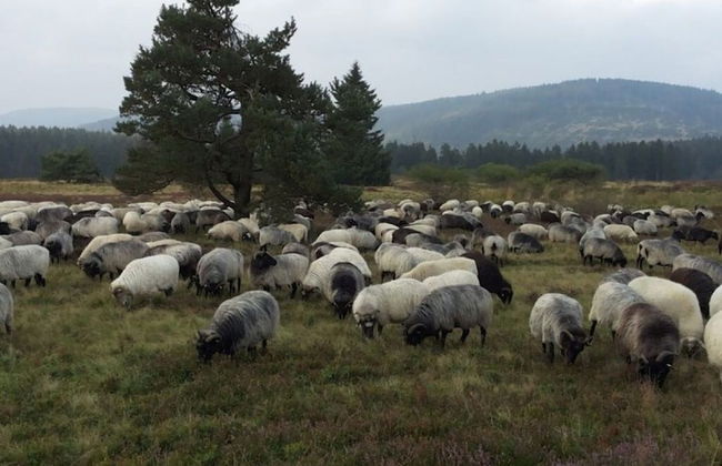 Modern Retreat by the Lake - Foto 10