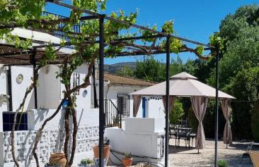 Casa Margarita - Photo 8