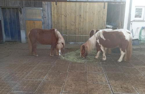 Fischer Ranch - Foto 14