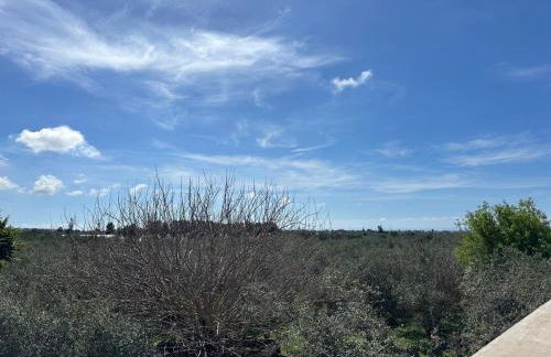 Casa amunì - Foto 25