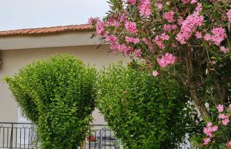 Villa Agathi - Foto 9