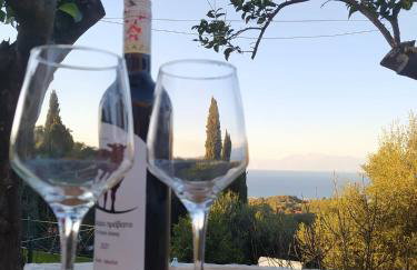 Totolos home in Lazaratika Corfu - Foto 15