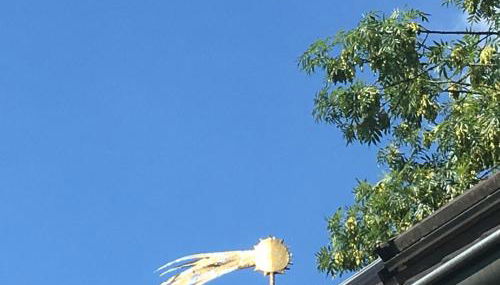 Fischer´s Häuschen - Foto 3