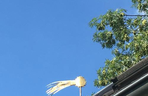 Fischer´s Häuschen - Foto 3