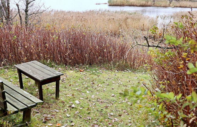 4 Star Holiday Home in Laholm-by Traum - Foto 29