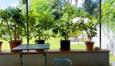 L'Aia di Anna - Photo 1, Garden, Garden view