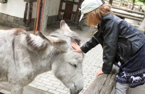 Bischofswerda Ferienwohnung Familienfreundlich Seniorengerecht - Foto 47