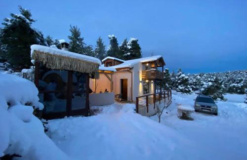 Το σπίτι στο δάσος - Foto 28