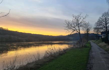 Pension mit Moselblick - Foto 28