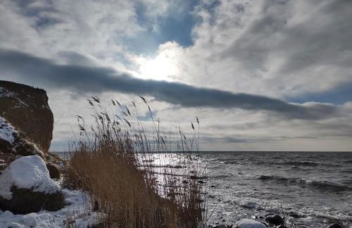 Chalet Möwenblick Rügen mit Meerblick, Sauna und Kamin - Foto 28