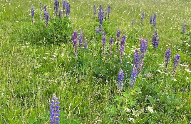 Apartment Heller am Hasselkopf - Foto 20