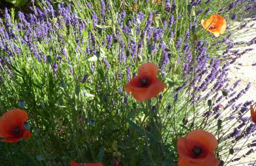 Old French Country Cottage for 2 nature lovers paradise - Foto 29