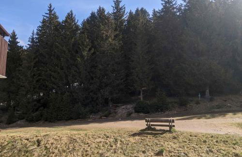 Appartement 2 pièces cabine pied des pistes - FR-1-557-78 - Foto 8