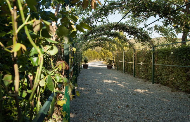 La Tenuta La Meirana - Photo 26