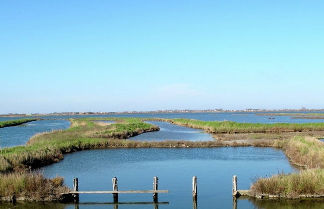 Venetian Villa With Pool and Sauna - Foto 36