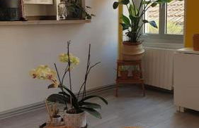 Mon Jardin Secret Marseillais avec terrasse dans le quartier le plus cool du Monde - Foto 7