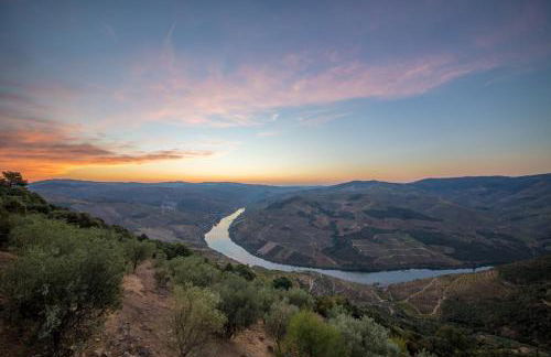 Quinta de Santa Marinha - Photo 34