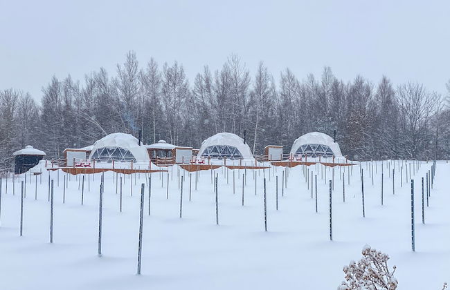 CAMPagne au Clos Sainte-Thècle - Foto 30