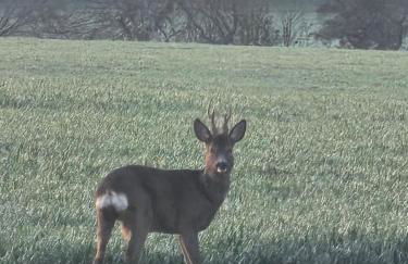 Jerusalem Farm Pods - Foto 22