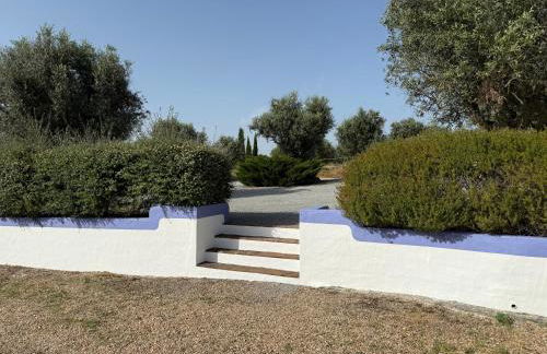 Courela do Monte Novo - Foto 46