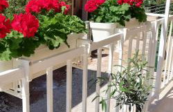 Apartments KUS Ugljan - Photo 47