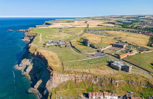 Rambling Rose - Foto 24