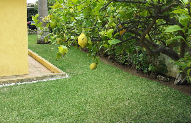 Villa Duque Los Monteros Marbella - Foto 2