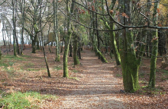 Enoturismo María Manuela - Photo 49